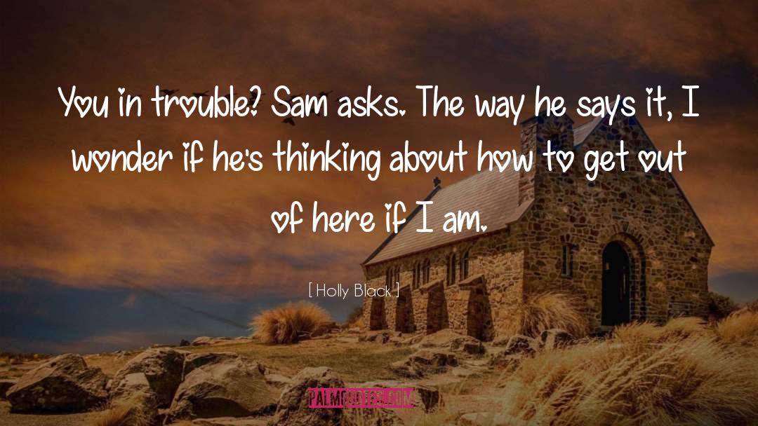 Sam Bridge Nursery quotes by Holly Black