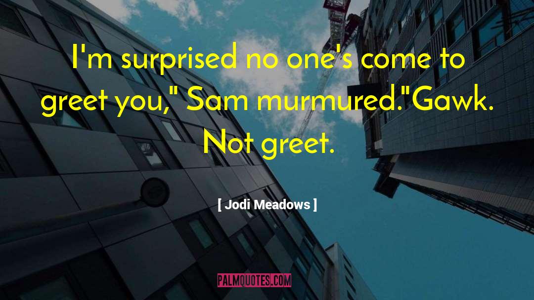 Sam Kinnison quotes by Jodi Meadows
