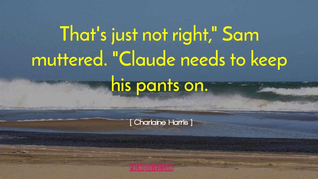 Sam Merlotte Sookie Stackhouse quotes by Charlaine Harris