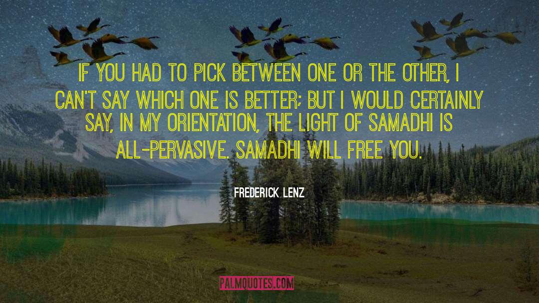 Samadhi quotes by Frederick Lenz