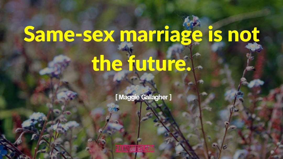 Same Sex Marriage quotes by Maggie Gallagher