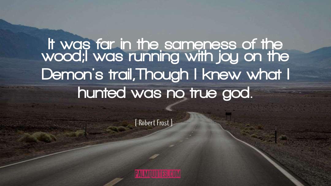Sameness quotes by Robert Frost