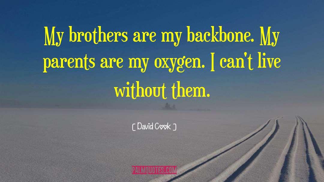 Samocki Brothers quotes by David Cook