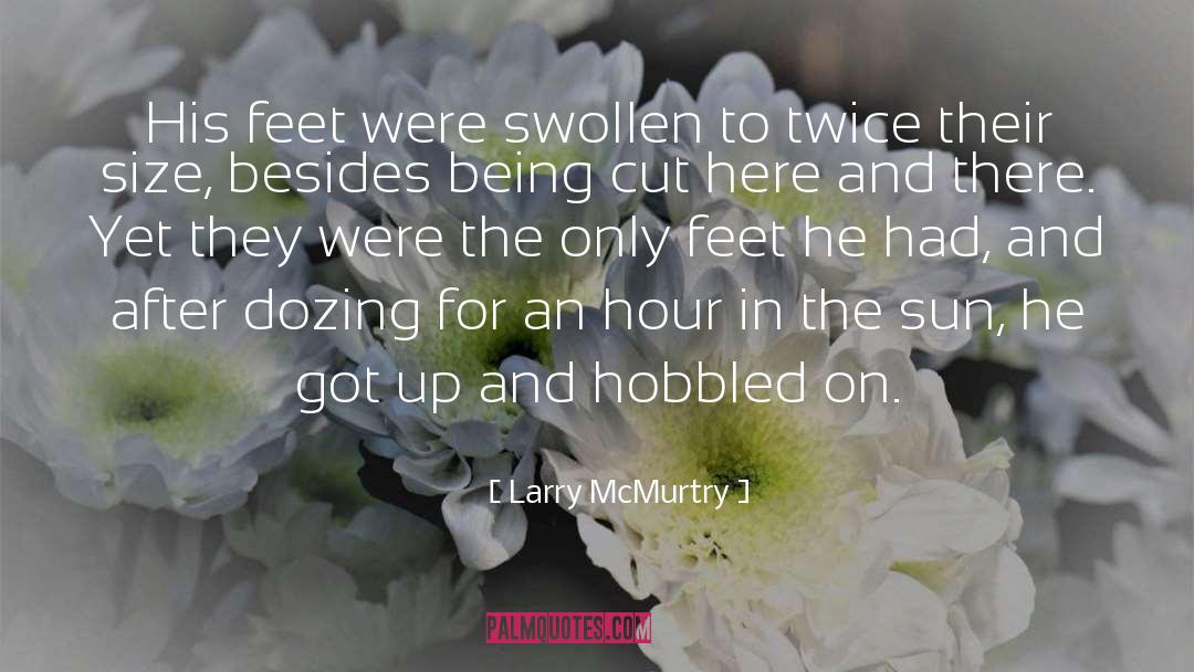 Sample Size quotes by Larry McMurtry