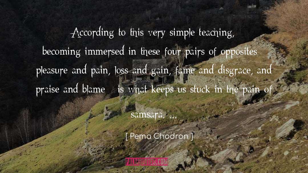 Samsara quotes by Pema Chodron