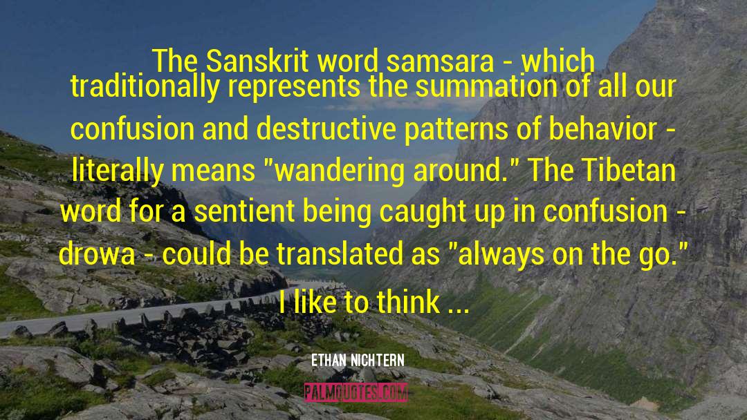 Samsara quotes by Ethan Nichtern