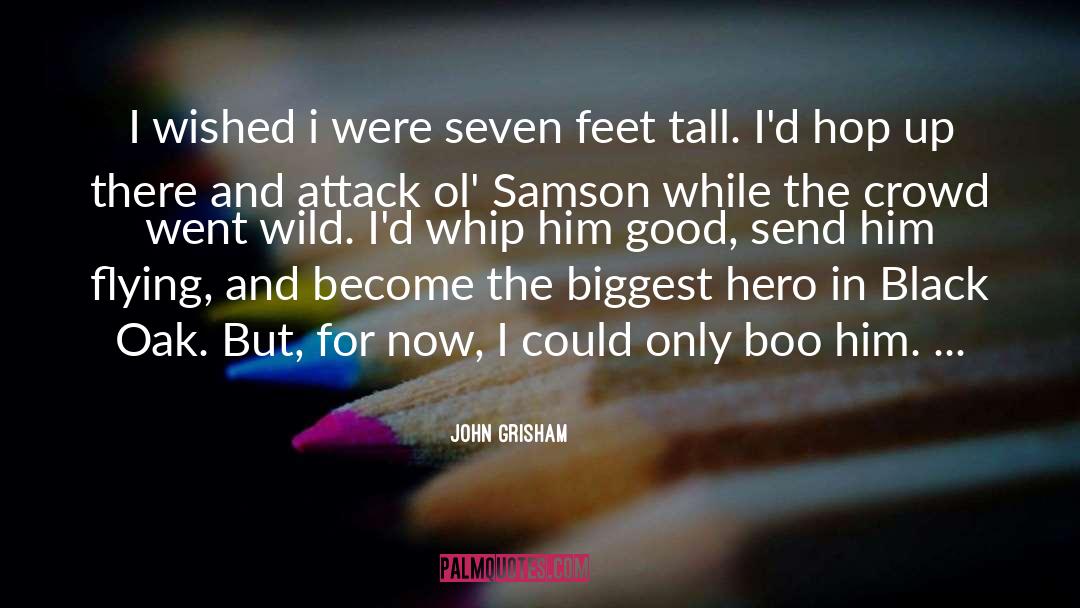 Samson Woodford quotes by John Grisham