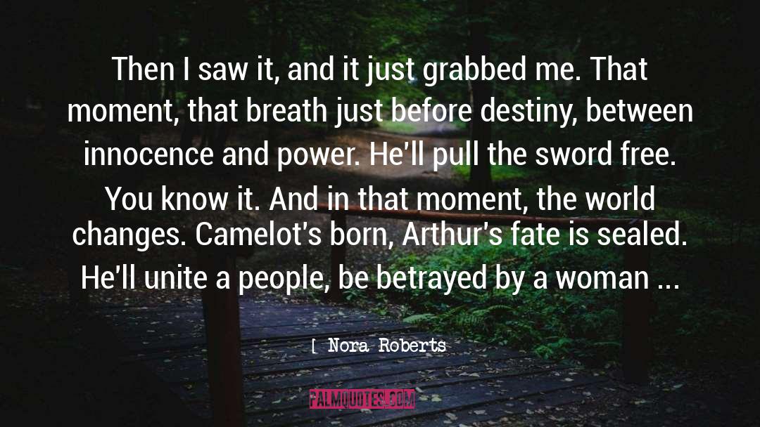 Samurai Sword quotes by Nora Roberts