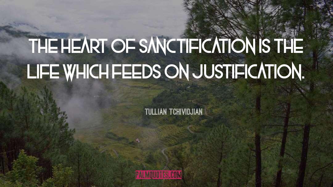 Sanctification quotes by Tullian Tchividjian