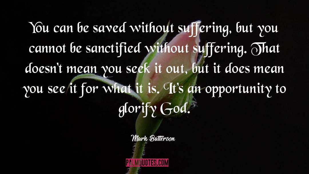 Sanctified quotes by Mark Batterson