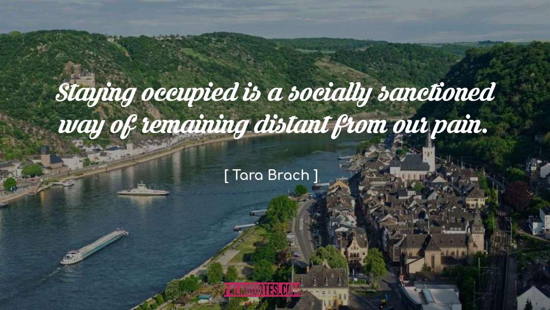 Sanctioned quotes by Tara Brach