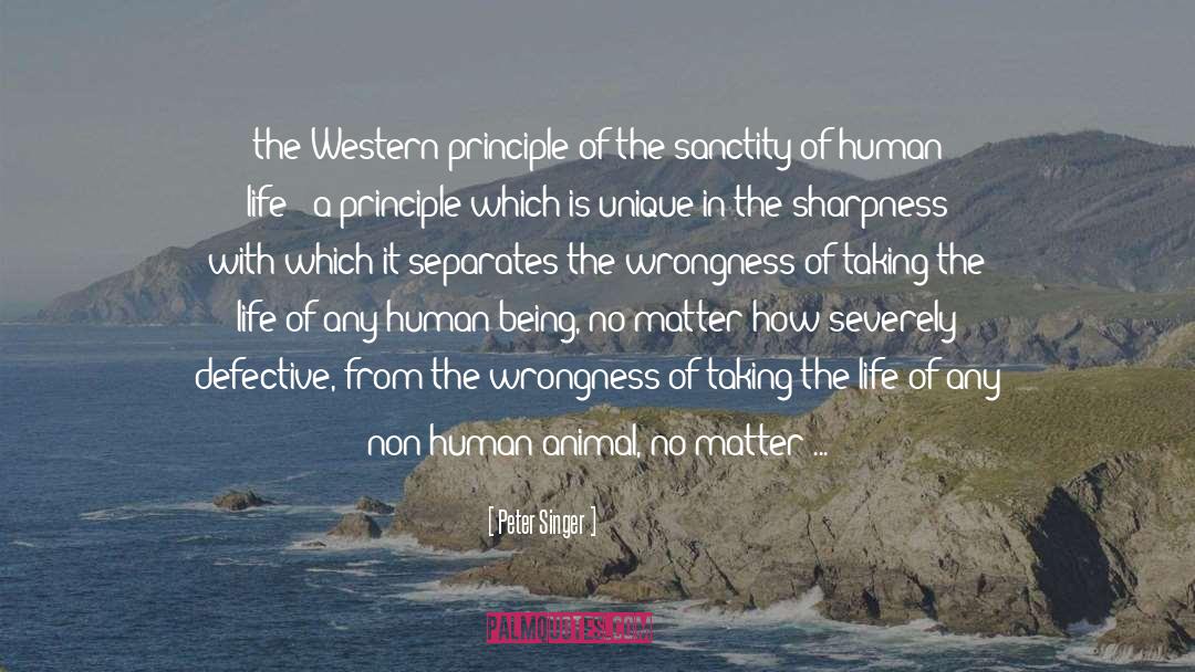 Sanctity Of Human Life quotes by Peter Singer