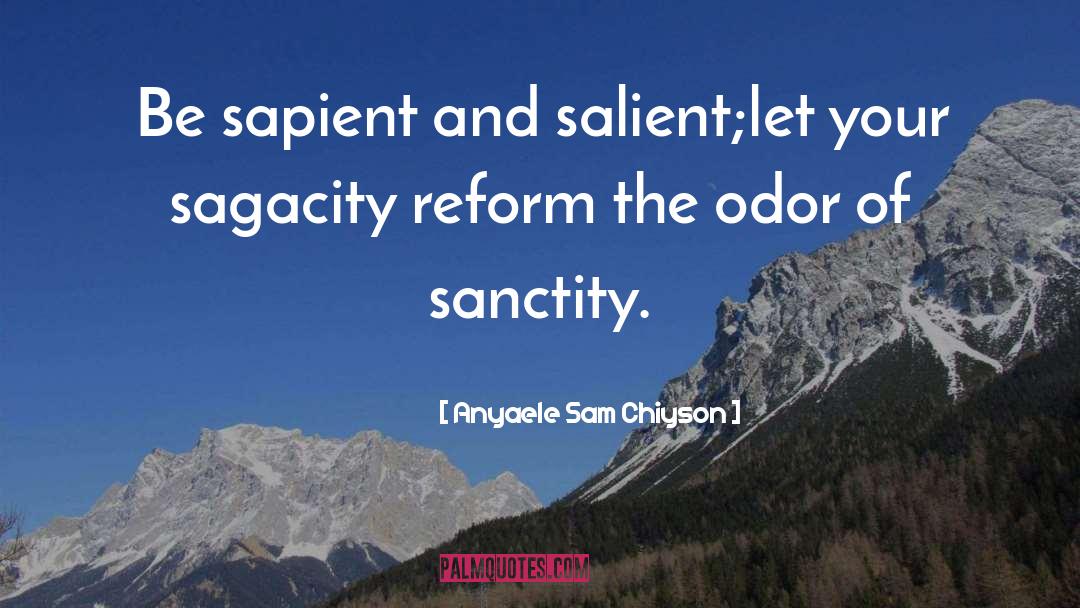 Sanctity quotes by Anyaele Sam Chiyson