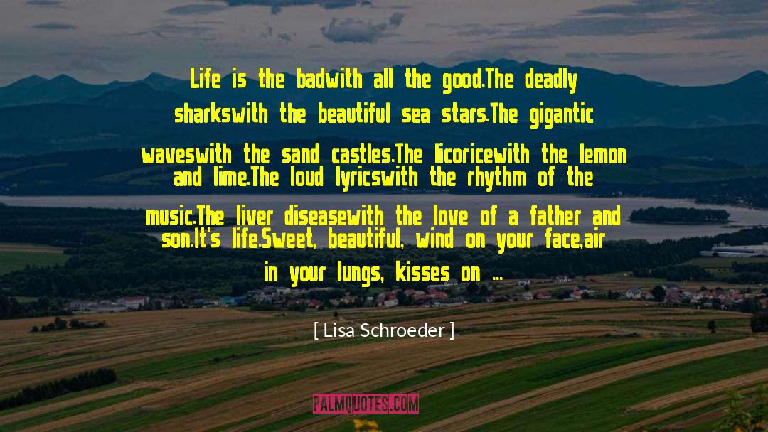 Sand Castles quotes by Lisa Schroeder
