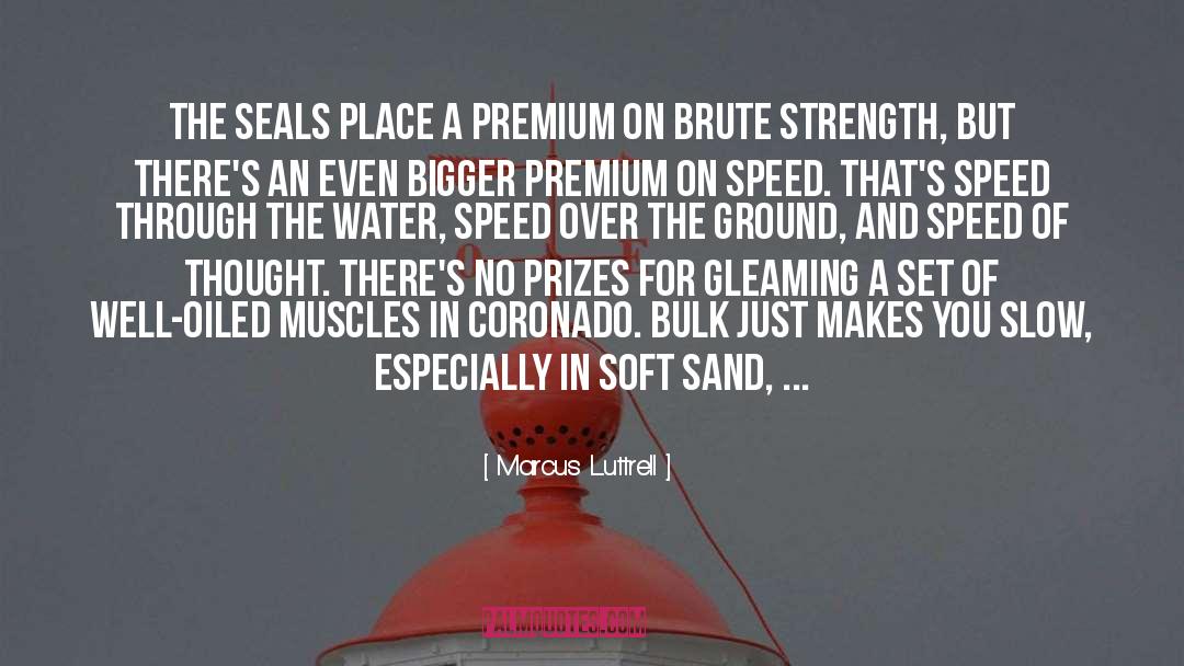 Sand quotes by Marcus Luttrell