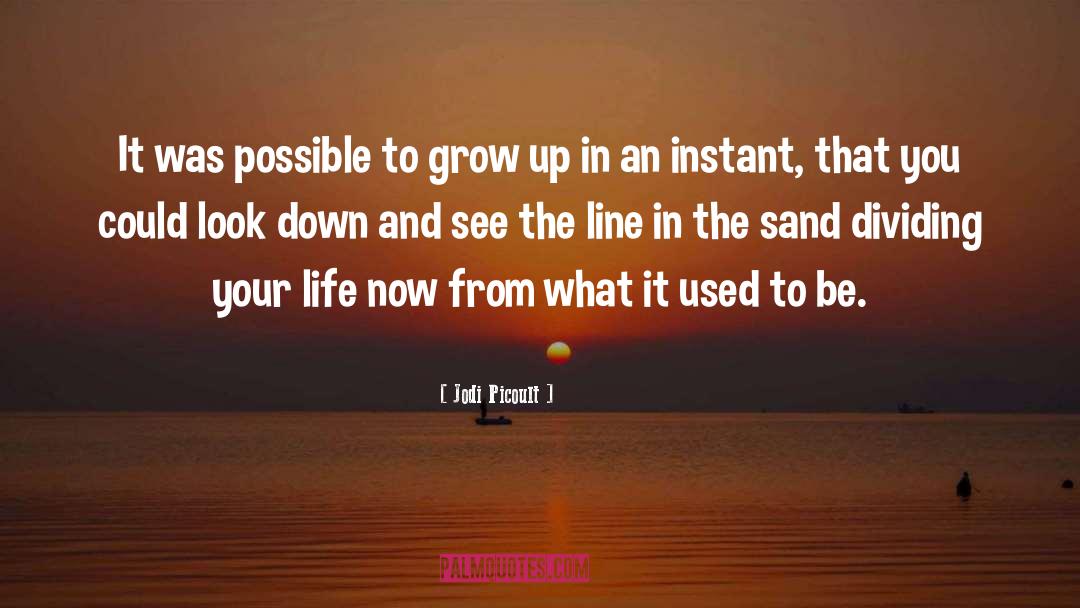 Sand quotes by Jodi Picoult