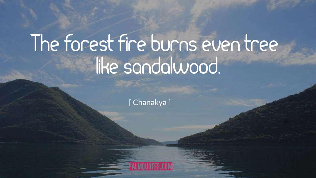 Sandalwood quotes by Chanakya