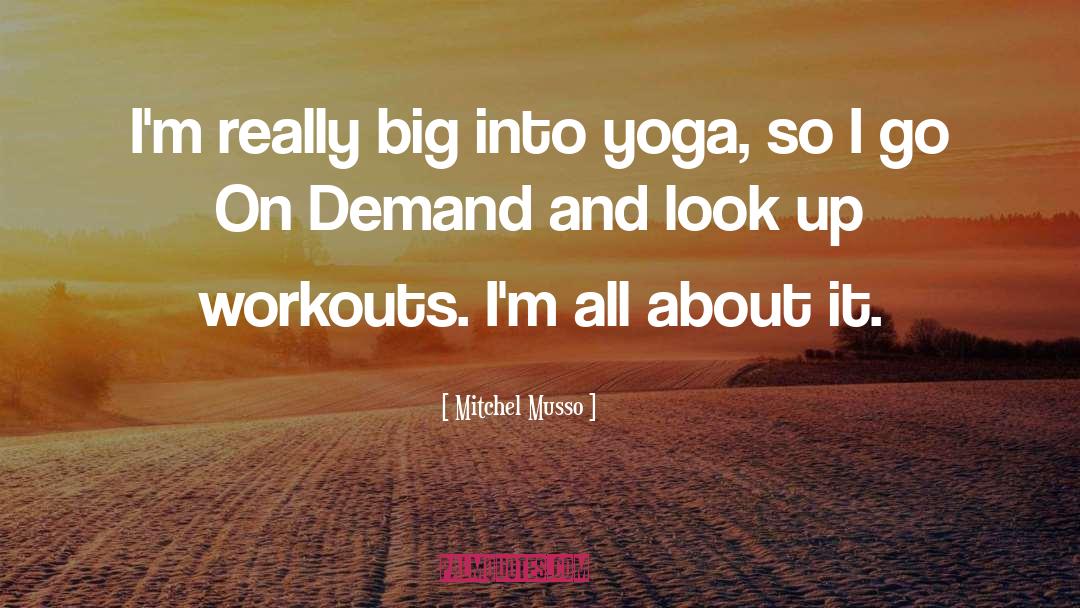 Sandbag Workouts quotes by Mitchel Musso