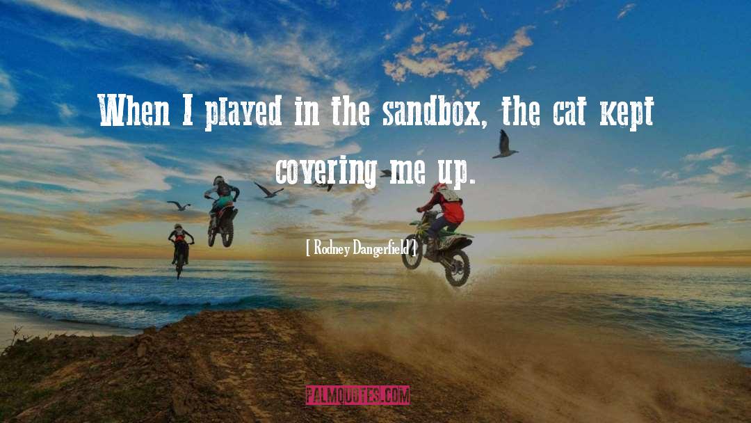 Sandbox quotes by Rodney Dangerfield
