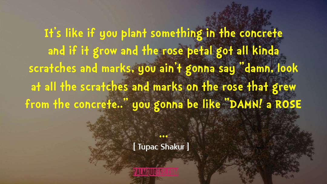Sandholt Concrete quotes by Tupac Shakur
