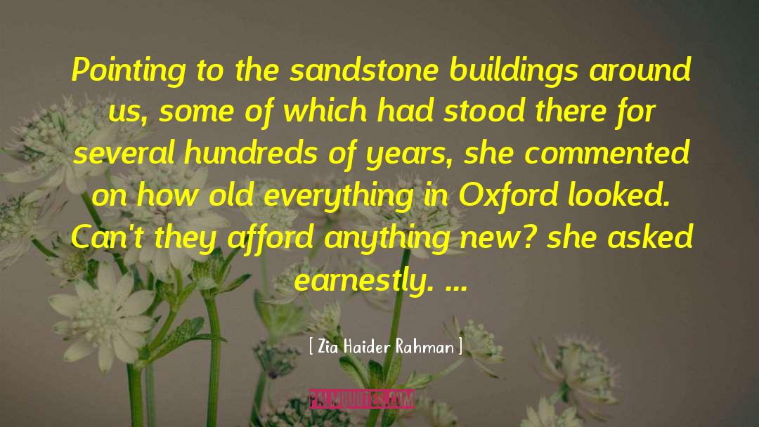 Sandstone quotes by Zia Haider Rahman