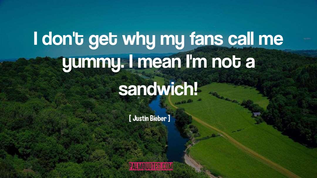 Sandwiches quotes by Justin Bieber
