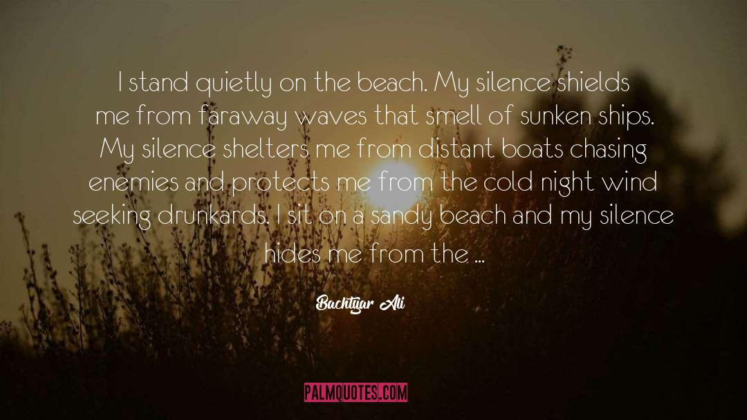 Sandy Beach quotes by Bachtyar Ali