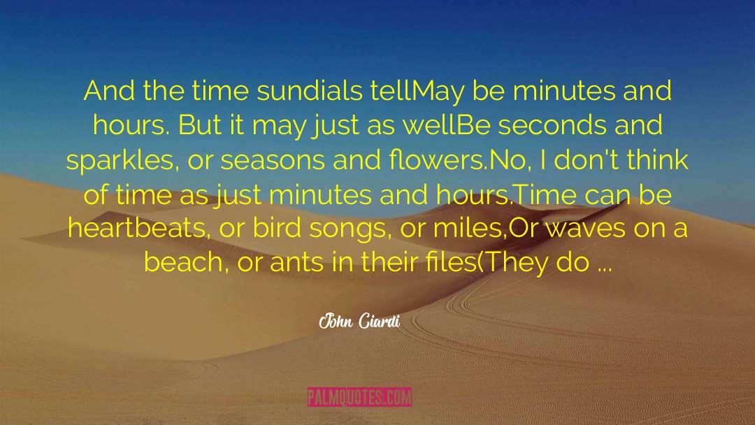 Sandy Beach quotes by John Ciardi