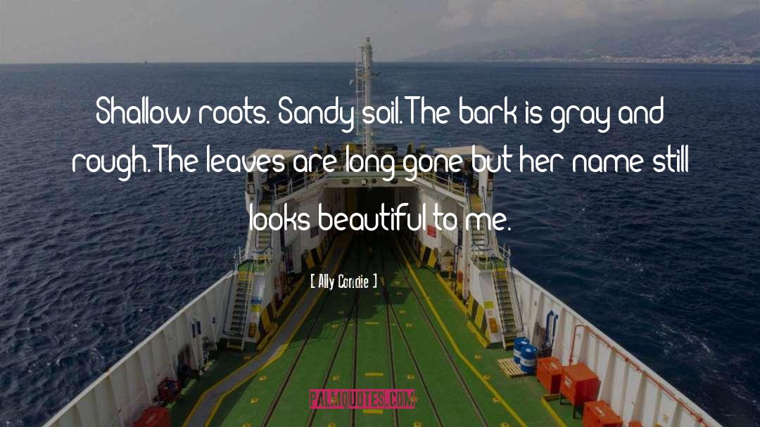 Sandy quotes by Ally Condie