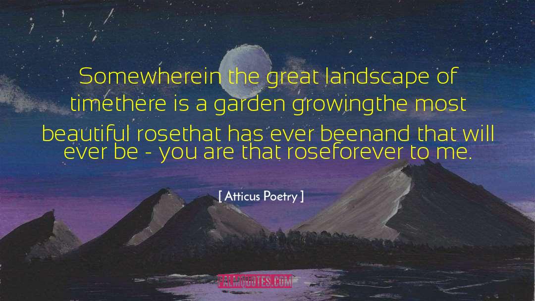 Sanguine Rose quotes by Atticus Poetry