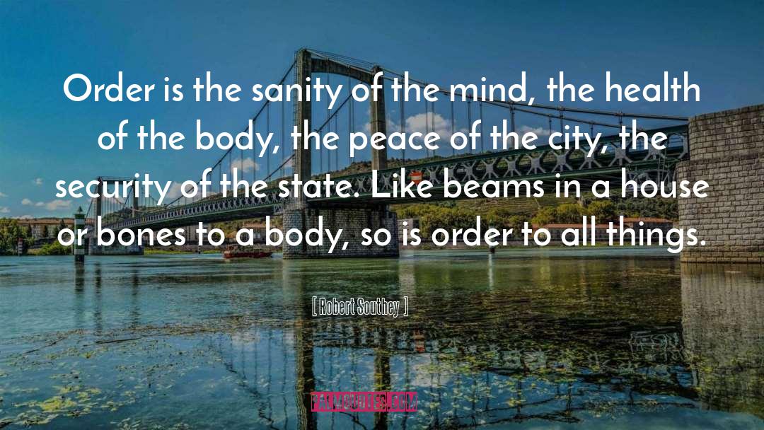 Sanity Insanity quotes by Robert Southey