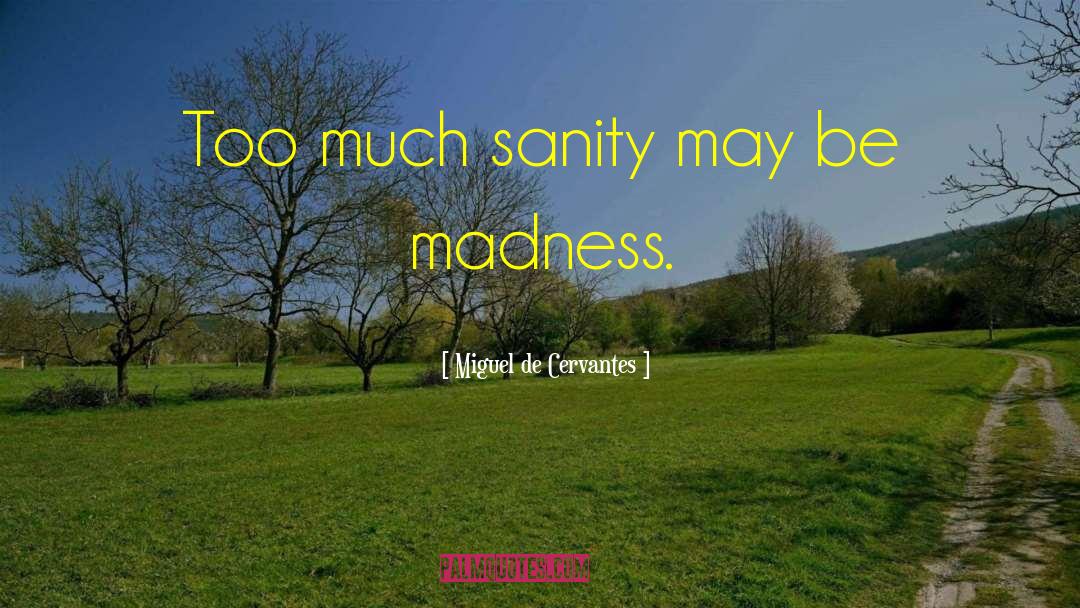 Sanity quotes by Miguel De Cervantes