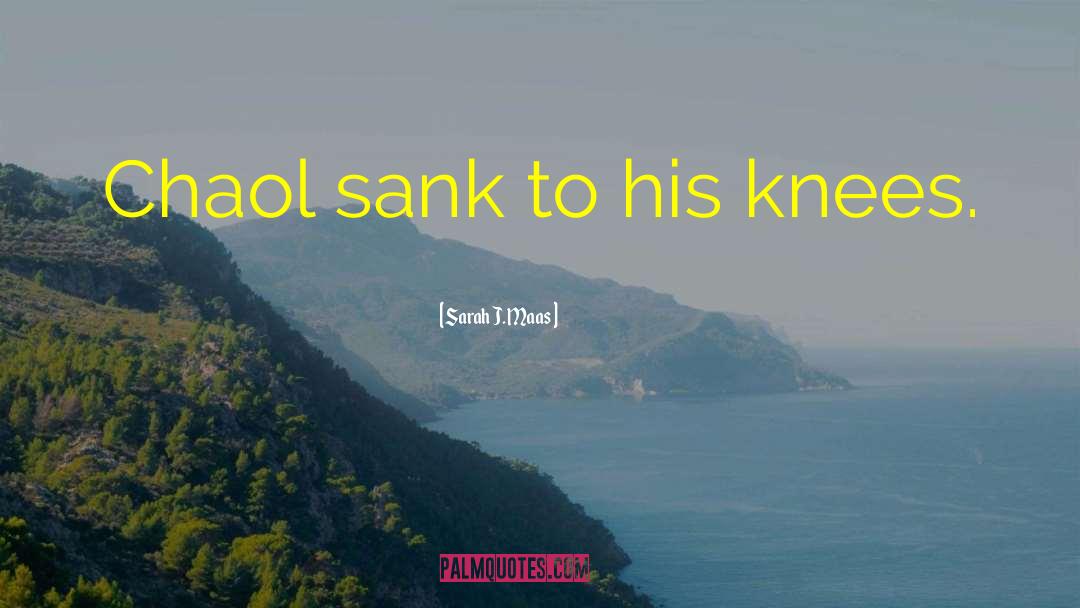 Sank quotes by Sarah J. Maas