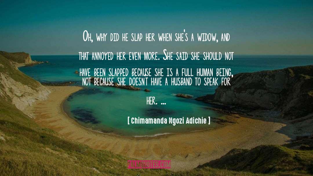 Sansas Husband quotes by Chimamanda Ngozi Adichie