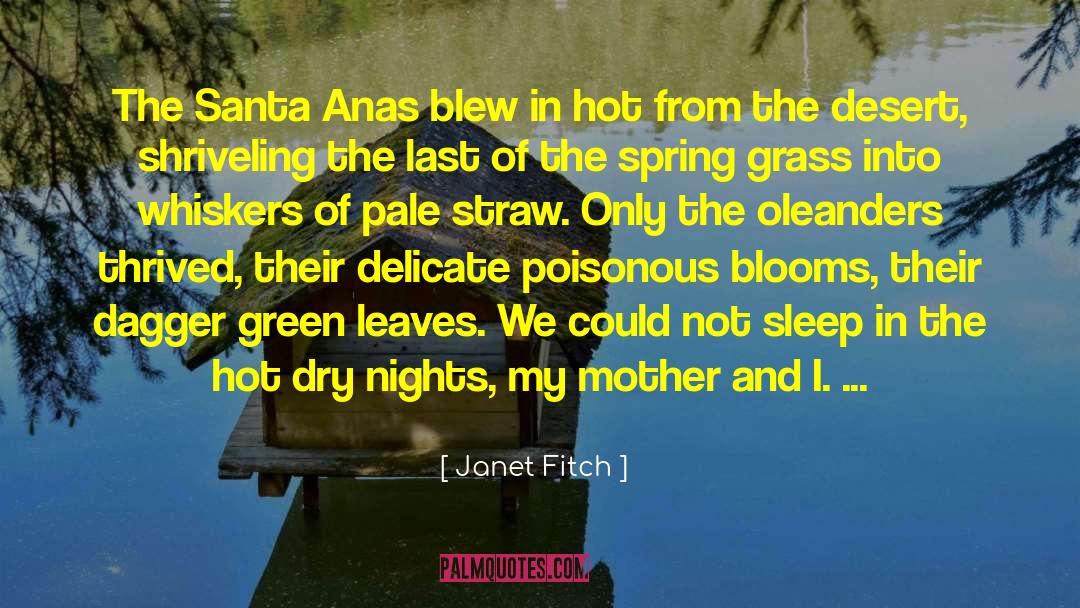 Santa Anas quotes by Janet Fitch