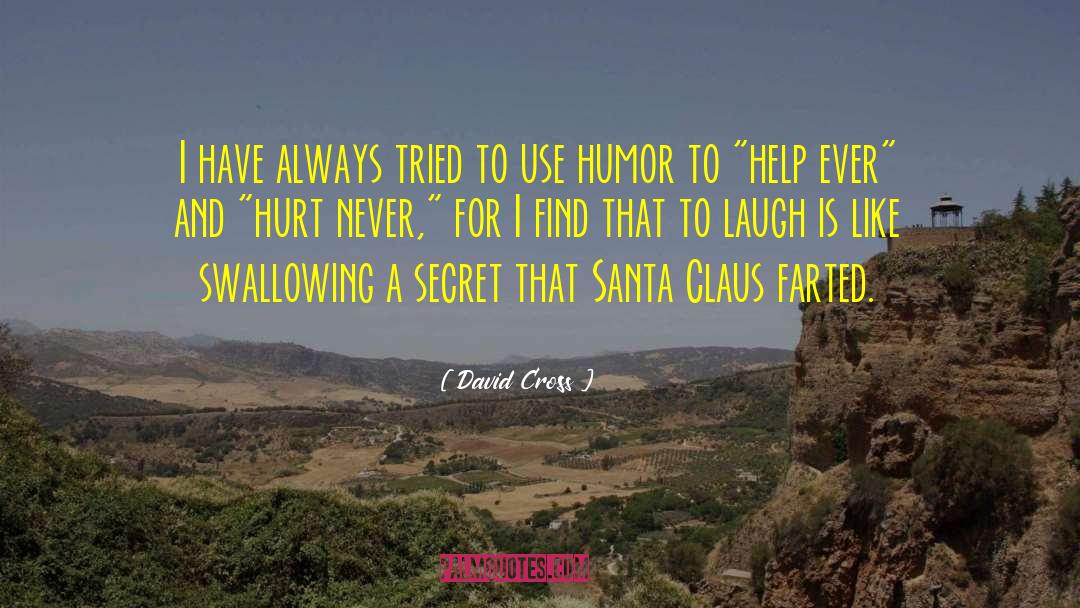 Santa Claus quotes by David Cross