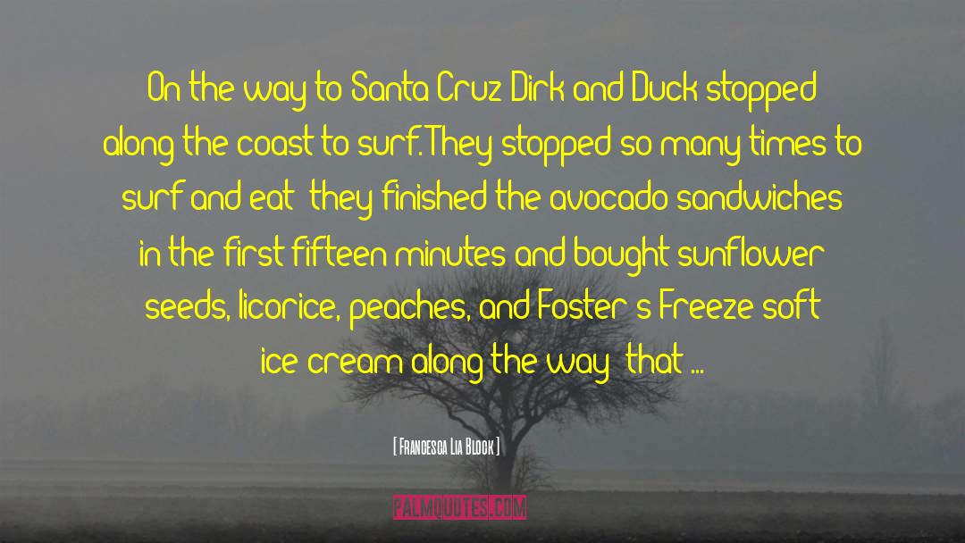 Santa Cruz quotes by Francesca Lia Block