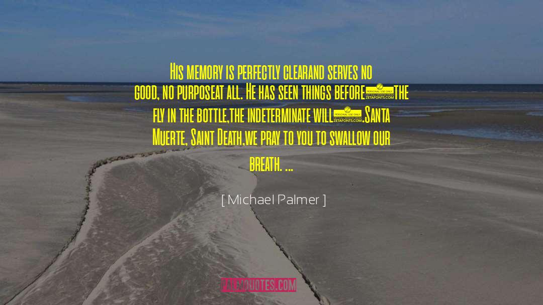 Santa Muerte quotes by Michael Palmer
