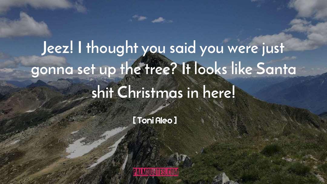 Santa quotes by Toni Aleo