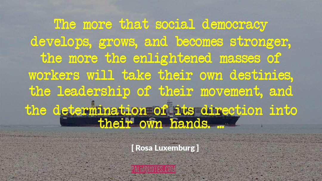 Santa Rosa quotes by Rosa Luxemburg