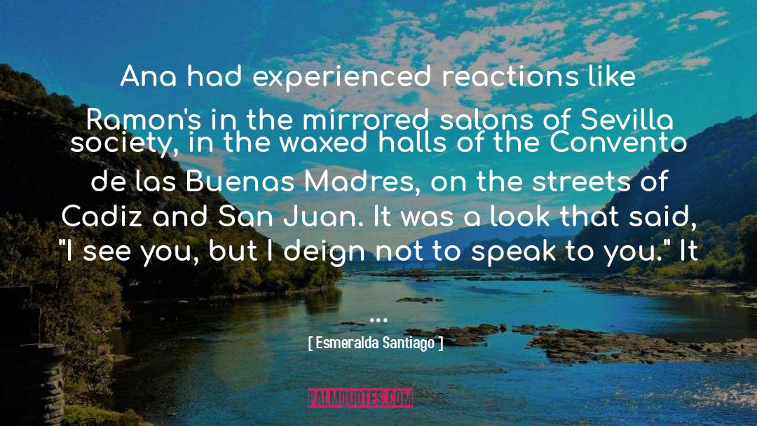 Santiago quotes by Esmeralda Santiago