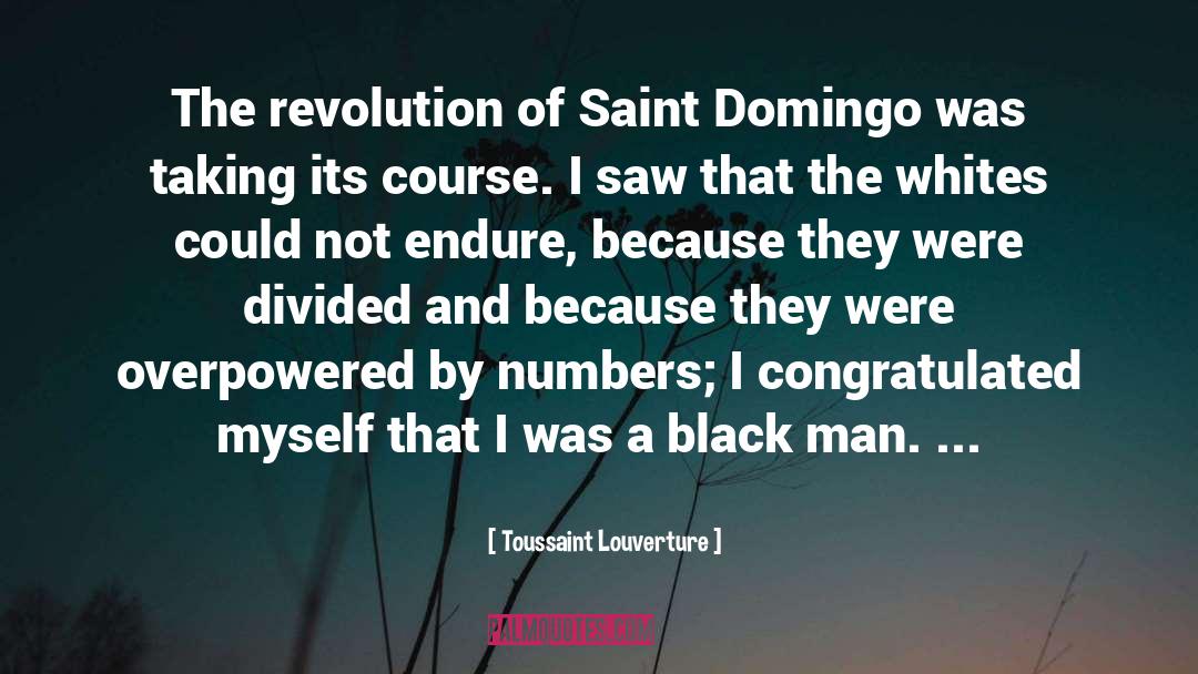 Santo Domingo quotes by Toussaint Louverture