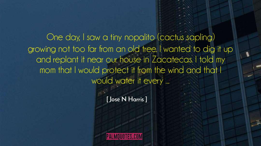 Sapling quotes by Jose N Harris