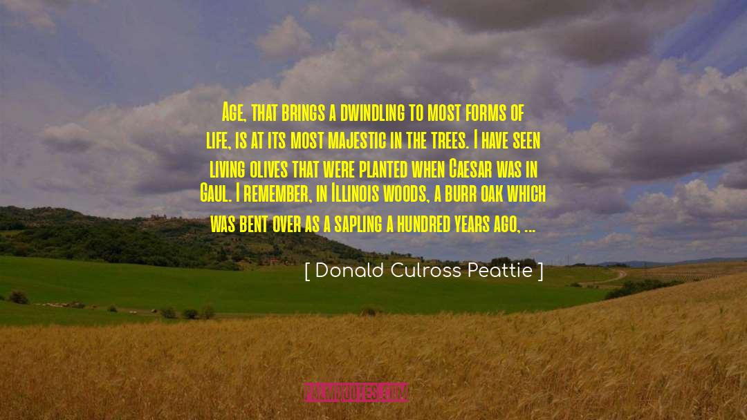Sapling quotes by Donald Culross Peattie
