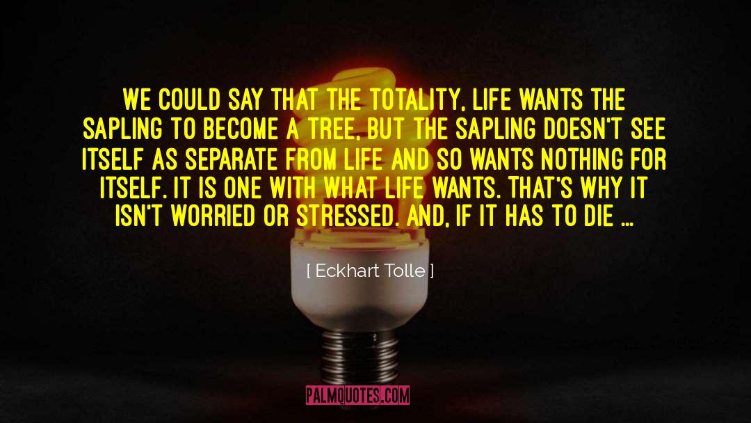 Sapling quotes by Eckhart Tolle
