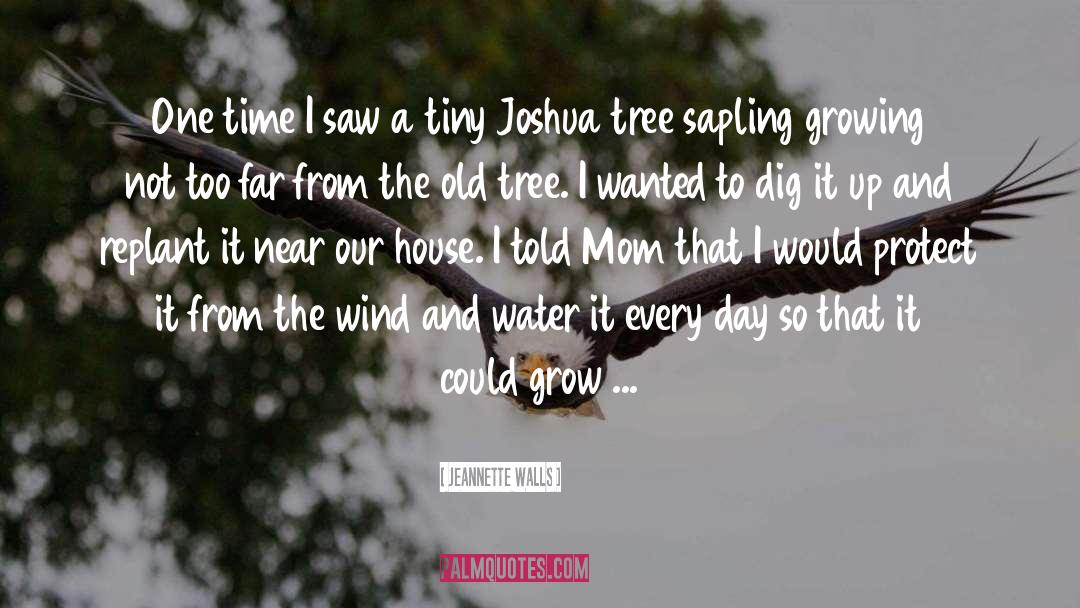 Sapling quotes by Jeannette Walls