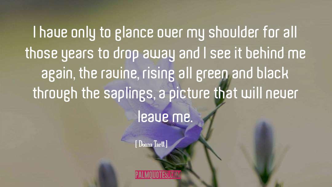 Saplings quotes by Donna Tartt