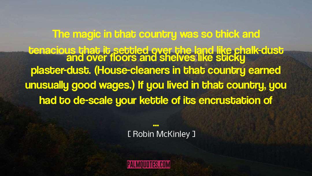 Sara Mckinley quotes by Robin McKinley