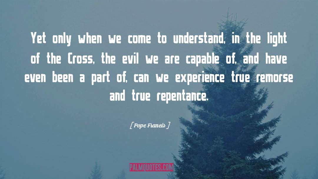 Sarah Cross quotes by Pope Francis