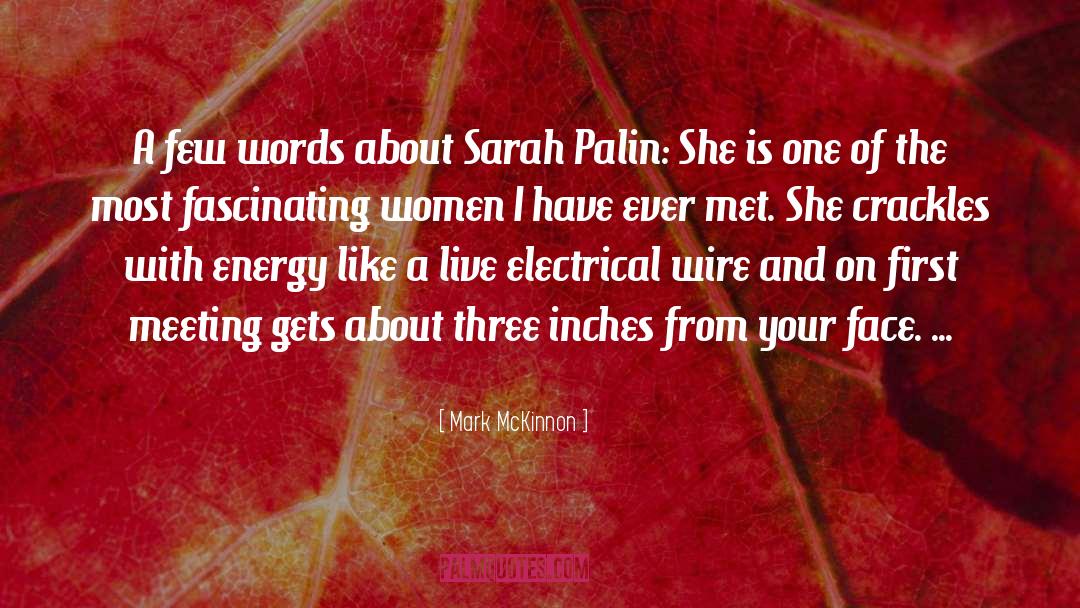 Sarah Palin quotes by Mark McKinnon